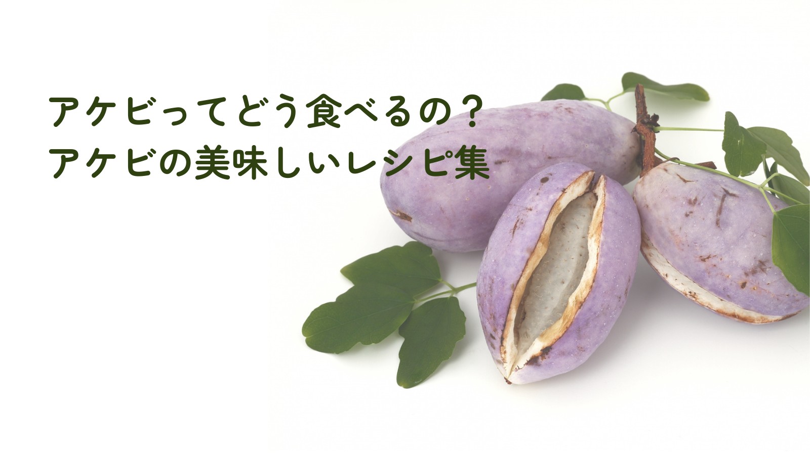 謎果物アケビのレシピ集