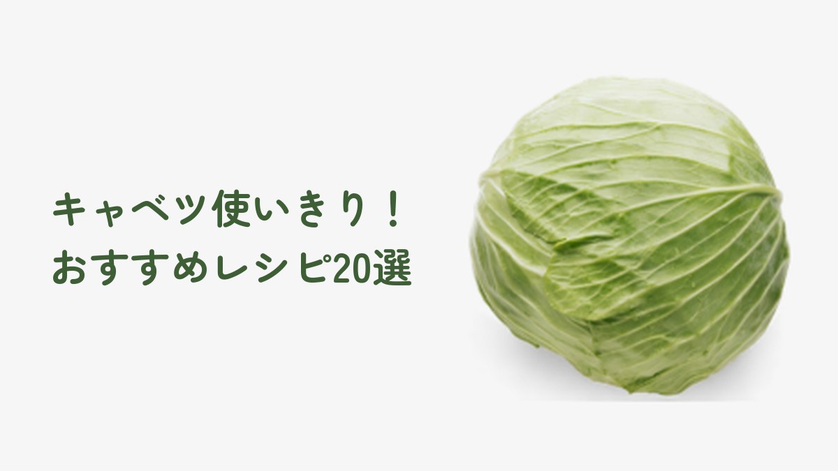 キャベツ使いきり！おすすめレシピ20選