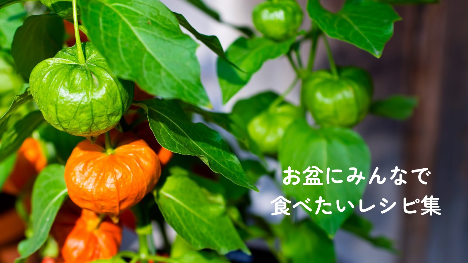 お盆にみんなで食べたいレシピ集